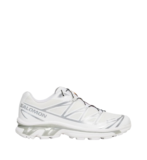 SALOMON XT-6 argenté