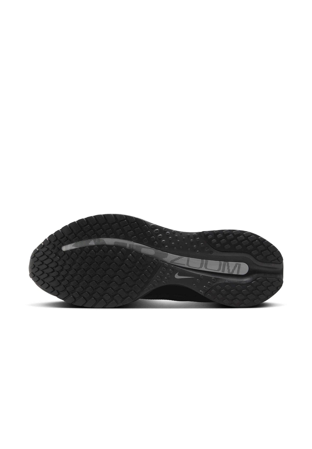 Nike Pegasus Noir
