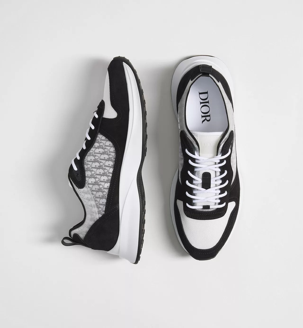 Dior B25